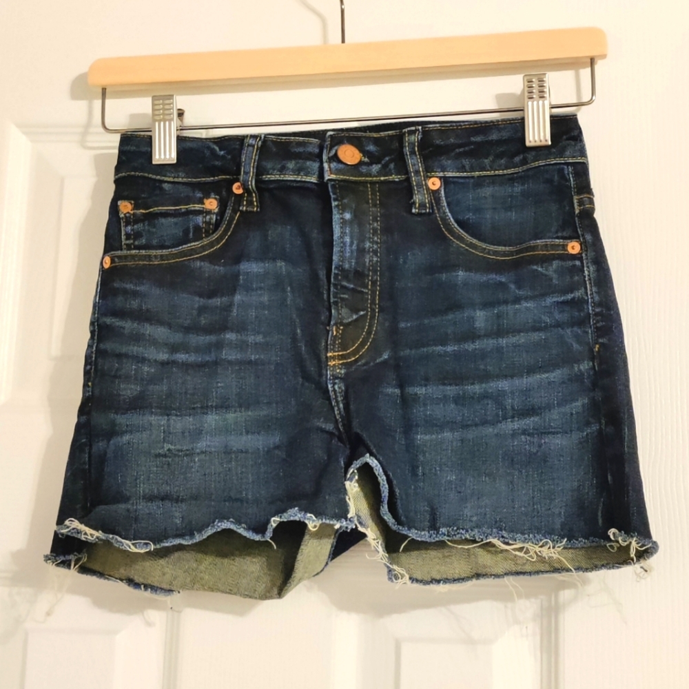 Aritzia The Castings Denim Shorts